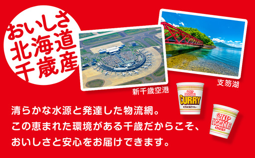 日清 ヌードル2種セット カップヌードル・カレーヌードル10食