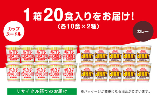日清 ヌードル2種セット カップヌードル・カレーヌードル10食