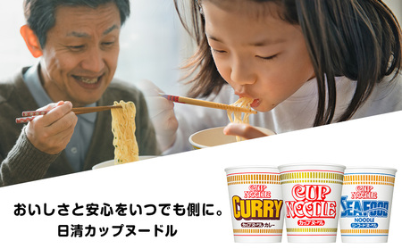 【定期便 12か月】日清 カップヌードル シリーズ20個