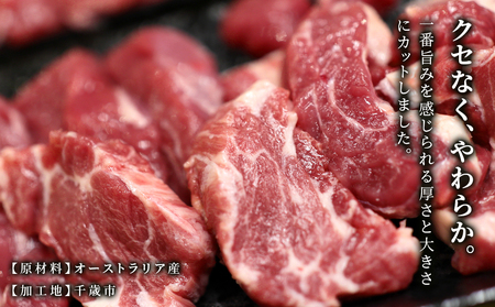 特撰 生ラム (冷凍）タレ付 600g＜肉の山本＞ ラム肉 羊肉 ジンギスカン タレ ラム 鍋 北海道