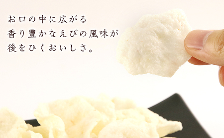 《岩塚製菓》ふわっと えび味 10袋入×2箱 ～北海道工場製造～