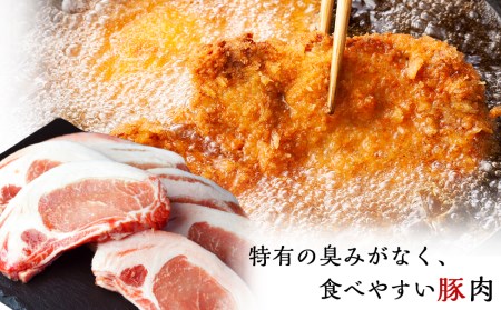北海道産　豚ロースとんかつ・すき焼きセット1.4kg＜肉の山本＞