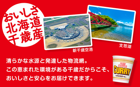 10営業日以内発送 日清★カレーヌードル★2箱 合計40食