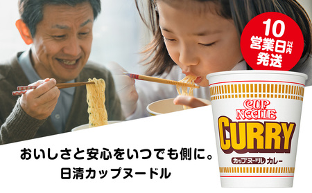 10営業日以内発送 日清★カレーヌードル★2箱 合計40食