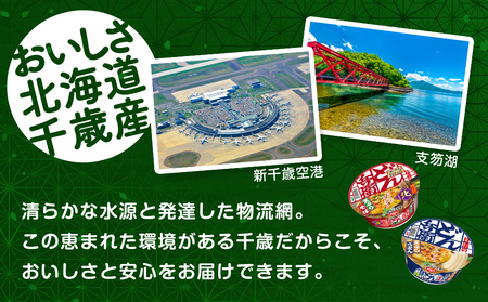 日清 北のどん兵衛 天ぷらセット＜うどん・そば＞各1箱・合計2箱