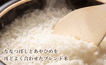 【無洗米】北海道産 う米蔵5kg×2袋