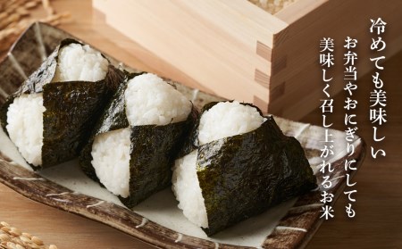 【無洗米】北海道産 う米蔵5kg×2袋