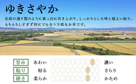 新米発送 北海道産ゆきさやか 5kg ゆきさやか 米 北海道米 北海道産 北海道千歳市