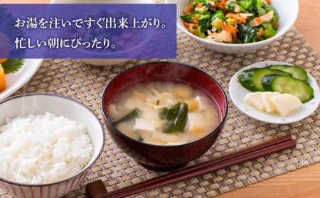 味噌汁 インスタント 減塩 みそ汁 徳用 即席 4種 22食入 スープ 2袋 セット【紅一点】《千歳工場製造》