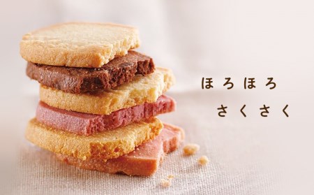 クッキー 36枚 詰め合わせ 《北海道千歳市 もりもと》