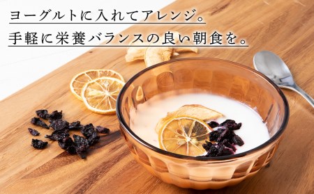 ドライフルーツ (5g×12個) 砂糖不使用 無添加 デトックスウォーター用