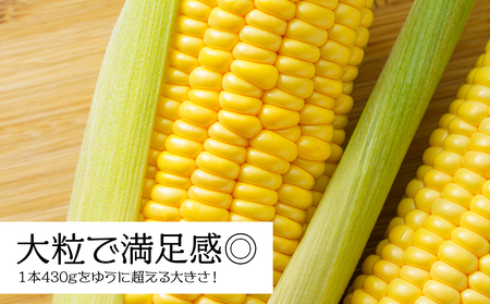 【先行予約】北海道 千歳産 とうもろこし 430ｇ以上 10本 恵味スター 野菜 トウモロコシ 甘い 旬 夏 BBQ ＜ファーム安澤＞ 野菜 とうもろこし 甘い とうきび 北海道産 恵味スター 大粒 北海道千歳市