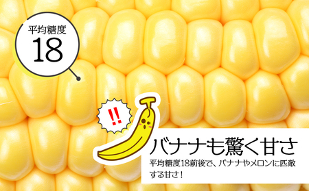 【先行予約】北海道 千歳産 とうもろこし 430ｇ以上 10本 恵味スター 野菜 トウモロコシ 甘い 旬 夏 BBQ ＜ファーム安澤＞ 野菜 とうもろこし 甘い とうきび 北海道産 恵味スター 大粒 北海道千歳市