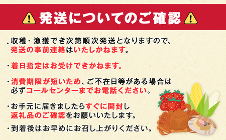 【先行予約】北海道 千歳産 とうもろこし 430ｇ以上 25本 恵味スター 野菜 トウモロコシ 甘い 旬 夏 BBQ ＜ファーム安澤＞