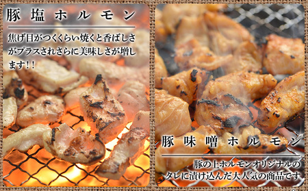 バラエティーギフトセット 食べ比べ ホルモン ジンギスカン <肉の山本>