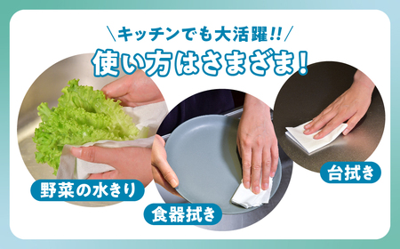 【3回配送/2ヶ月に1回定期便】ペーパータオル ナクレ ハンドタオル 15箱(5箱組×3セット 120組 240枚) 