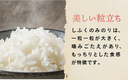 【先行予約】令和6年産 新米 しふくのみのり 5kg 精米 白米 金ケ崎町産 お米 数量限定 24年産