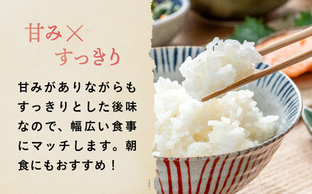 【先行予約】令和6年産 新米 しふくのみのり 5kg 精米 白米 金ケ崎町産 お米 数量限定 24年産