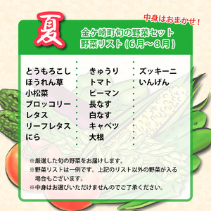 ＼＼お試し／／旬のお野菜 6品程度 詰め合わせ 新鮮野菜 おまかせ 季節 旬 春野菜 夏野菜 秋野菜 いわて 金ケ崎町 新鮮 野菜 セット 5000 5000円以下