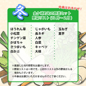 ＼＼お試し／／旬のお野菜 6品程度 詰め合わせ 新鮮野菜 おまかせ 季節 旬 春野菜 夏野菜 秋野菜 いわて 金ケ崎町 新鮮 野菜 セット 5000 5000円以下