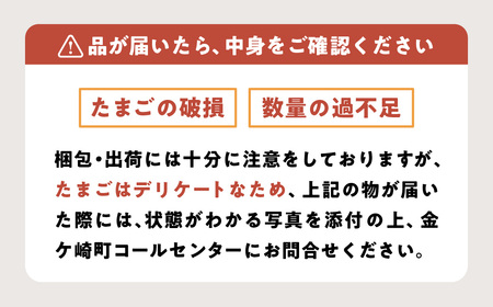 たまご 卵 6個入り 6P MS ～ LLサイズ 小分け 燦然 さんぜん 玉子 タマゴ 生たまご 生卵 生玉子 鶏卵 支援 障がい者支援 就労支援 新鮮 お試し たまごかけご飯 岩手県 金ケ崎町