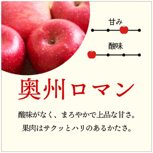 先行予約】【希少品種】令和6年産 りんご 奥州ロマン 贈答用 5kg (14～18玉) 10月中旬発送予定 数量限定 希少 人気 お試し 甘い 旬  果物 リンゴ フルーツ 林檎 岩手県 金ケ崎町 | 岩手県金ケ崎町 | ふるさと納税サイト「ふるなび」