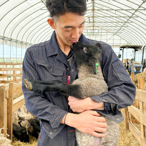 【 希少 】 国産 100％ 羊肉 ソーセージ 『 メルゲーズ 』 2パック ( 4本 ×2 ) 冷凍 真空パック 長期保存 | 加熱用 バーベキュー おつまみ 岩手県 金ケ崎町 羊飼い 山本ファーム 羊 肉 ラム肉 ラム マトン 日本産 高級 レストラン ギフト 加工肉 香辛料 スパイス 羊肉ソーセージ 生ソーセージ 国産メルゲーズ 冷凍食品 merguez 味付け肉 味付き 冷凍ソーセージ