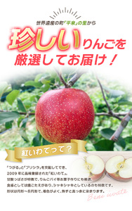 【令和6年度分予約受付】大文字りんご園 紅いわて 約3kg(7～10玉)【2024年9月20日頃～9月末にお届け】/ りんご りんご りんご りんご りんご りんご りんご りんご りんご りんご りんご りんご りんご りんご りんご りんご りんご りんご りんご りんご りんご りんご りんご りんご りんご りんご りんご りんご りんご りんご りんご りんご りんご りんご りんご りんご りんご りんご りんご りんご りんご りんご りんご りんご りんご りんご りんご りんご りんご りんご りんご りんご りんご りんご りんご りんご りんご りんご りんご りんご りんご りんご りんご りんご りんご りんご りんご りんご りんご りんご【dma513-bi-3】