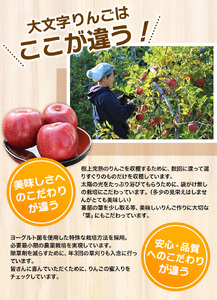 【令和6年度分予約受付】大文字りんご園 サンふじ 約3kg (7～10玉) 【2024年12月上旬より順次発送】/ りんご りんご りんご りんご りんご りんご りんご りんご りんご りんご りんご りんご りんご りんご りんご りんご りんご りんご りんご りんご りんご りんご りんご りんご りんご りんご りんご りんご りんご りんご りんご りんご りんご りんご りんご りんご りんご りんご りんご りんご りんご りんご りんご りんご りんご りんご りんご りんご りんご りんご りんご りんご りんご りんご りんご りんご りんご りんご りんご りんご りんご りんご りんご りんご りんご りんご りんご りんご りんご りんご りんご りんご りんご りんご りんご りんご りんご リンゴ リンゴ リンゴ リンゴ リンゴ リンゴ リンゴ リンゴ リンゴ リンゴ リンゴ リンゴ リンゴ リンゴ リンゴ リンゴ リンゴ リンゴ リンゴ リンゴ リンゴ リンゴ リンゴ リンゴ リンゴ リンゴ リンゴ リンゴ リンゴ リンゴ リンゴ リンゴ リンゴ リンゴ リンゴ リンゴ  リンゴ リンゴ リンゴ リンゴ リンゴ リンゴ リンゴ リンゴ リンゴ リンゴ リンゴ リンゴ リンゴ リンゴ リンゴ リンゴ リンゴ リンゴ リンゴ リンゴ リンゴ リンゴ リンゴ リンゴ リンゴ リンゴ リンゴ リンゴ リンゴ リンゴ リンゴ リンゴ リンゴ リンゴ リンゴ リンゴ リンゴ リンゴ リンゴ リンゴ リンゴ リンゴ リンゴ リンゴ リンゴ リンゴ リンゴ リンゴ リンゴ リンゴ リンゴリンゴ リンゴ リンゴ リンゴ リンゴ リンゴ リンゴ リンゴ リンゴ【dma513-sf-3】