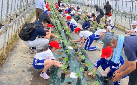 【令和8年度分予約受付】平泉黄金メロン 2玉 Lサイズ 合計約3kg 【2026年8月下旬以降より発送】/【omk002-A】