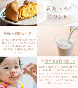 【予約受付】老舗のりんごパイ　8個セット / アップルパイ 紅玉 林檎 岩手県産 小麦 りんご ごろごろ 期間限定 洋菓子 焼き菓子 スイーツ 贈り物 贈答 プレゼント お土産 手土産 お祝い 誕生日 ご褒美 お菓子 おやつ デザート【ysn110-set-appl-8A】