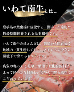 牛肉 いわて南牛 リブロース 合計300g A3等級以上 【全国肉用牛枝肉共励会最優秀賞受賞】/【kry000】