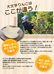 【令和7年度予約受付】 りんご 定期便 大文字りんご園 季節の りんご づくし 定期便 紅いわて サン北斗 大夢 サンふじ ※離島配送不可 /【dma513-set-3x4B】