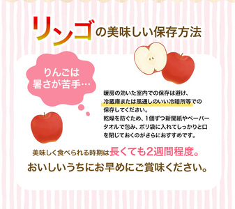 【令和7年度予約受付】 りんご 定期便 大文字りんご園 季節の りんご づくし 定期便 紅いわて サン北斗 大夢 サンふじ ※離島配送不可 /【dma513-set-3x4B】