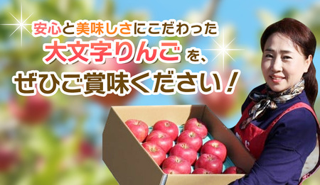 【令和7年度予約受付】 りんご 定期便 大文字りんご園 季節の りんご づくし 定期便 紅いわて サン北斗 大夢 サンふじ ※離島配送不可 /【dma513-set-3x4B】
