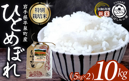 ＼7～14日以内発送!!・人気No.1／  平泉町産 特別栽培米ひとめぼれ 10kg 農薬50%削減 体に優しい 棚田のお米 令和6年産新米 【米 お米 ひとめぼれ 平泉 米 白米 こめ 岩手 東北 日本農業遺産】【mih400-hito-10-2C-711】