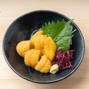 【令和8年発送】生うに100g×1個【2026年5月上旬～8月発送】【05】