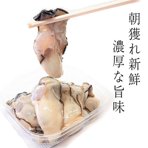 【2025年12月より発送】岩手 三陸産 むき牡蠣 300g×2パック（加熱用）