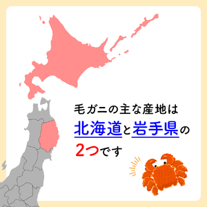 【令和7年発送】三陸産 三陸活毛ガニ 300g×2杯（2尾）【2025年3月～4月発送】