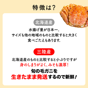 【令和7年発送】三陸産 三陸活毛ガニ 300g×2杯（2尾）【2025年3月～4月発送】