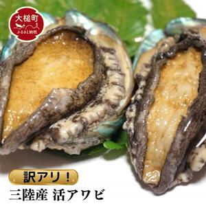 【※訳あり※】【11月～12月発送】三陸産！活アワビ 約1kg (6～10個)【数量限定】【08】｜冷蔵 三陸 岩手県 大槌町 あわび 人気 鮑 いわて iwate 2026 魚貝 鮮度抜群【配送日・曜日指定不可】 8,750円