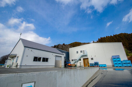 大槌サーモン（銀鮭）切身80g×2×3パック｜国産 希少 ご当地サーモン 特産  魚 魚貝  鮭 サケ 冷凍