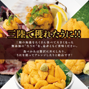 【令和8年発送先行予約】【2026年5月より発送】岩手三陸生うに牛乳瓶入150g×3本 【19】 