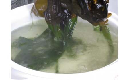 生わかめ2kg（1kg×2パック）【3月末～4月発送】