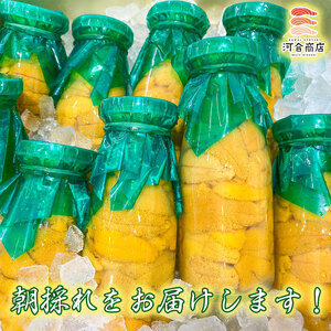 【令和8年発送】無添加『生うに』ミョウバン不使用 150g×3【2026年5月中旬～8月発送】【15】