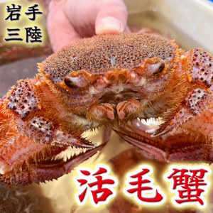 【令和8年発送】岩手三陸産【活毛蟹】| 400g×2【2026年2月~4月発送】新鮮の極 | 毛がに 毛かに