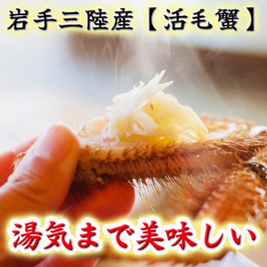 【令和8年発送】岩手三陸産【活毛蟹】| 400g×2【2026年2月~4月発送】新鮮の極 | 毛がに 毛かに