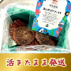 【令和8年発送】岩手三陸産【活毛蟹】| 400g×2【2026年2月~4月発送】新鮮の極 | 毛がに 毛かに