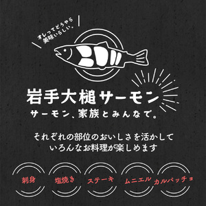 岩手大槌サーモン ～家族とみんなで。～ 700g～800g｜サーモン国産 刺身 刺身冷凍 小分け サーモン 冷凍 岩手県大槌町