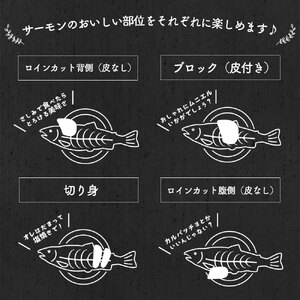 岩手大槌サーモン ～家族とみんなで。～ 700g～800g｜サーモン国産 刺身 刺身冷凍 小分け サーモン 冷凍 岩手県大槌町